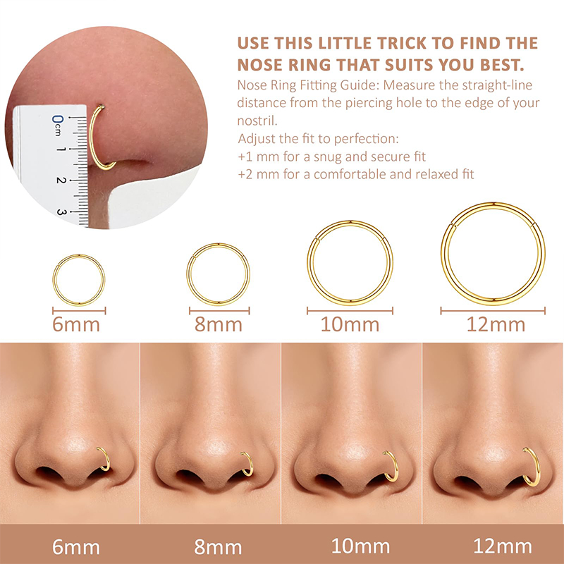 16G 316L 수술용 스틸 힌지 클리커 코/격막 링, - Body Jewelry Ear 리뷰 및 가격