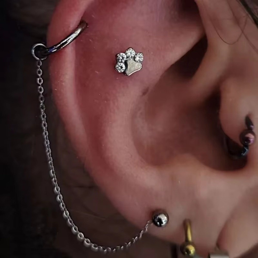 티타늄 코 체인 3중 체인 더블 체인 코구멍 체인 DI - Body Jewelry Titanium 리뷰 및 가격
