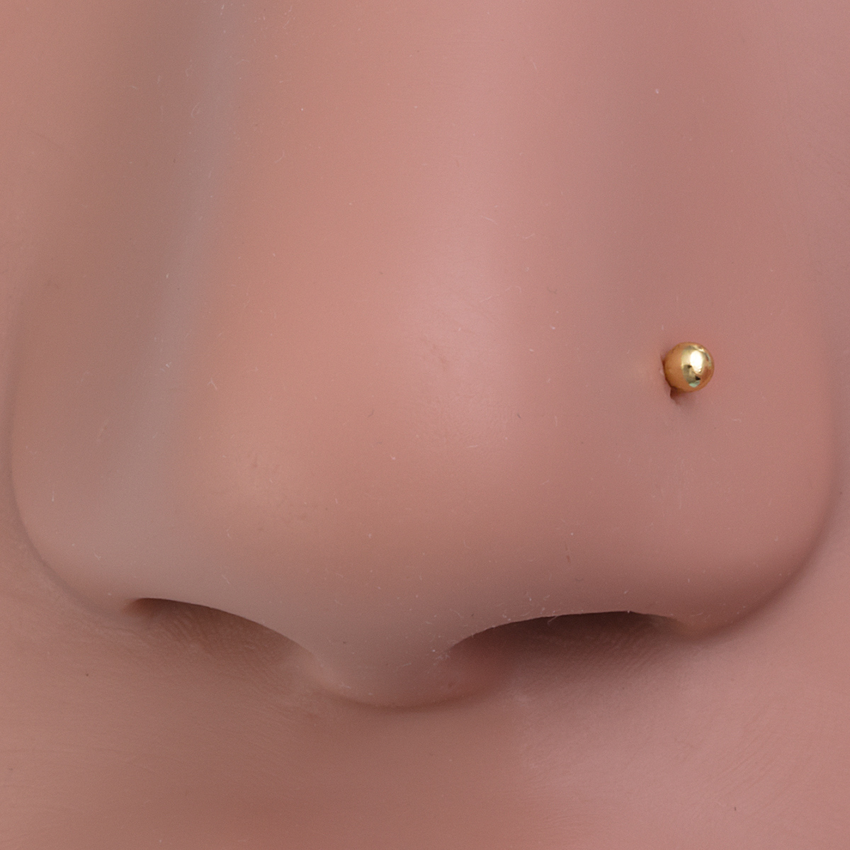 남녀공용 코 스터드 링, 나사 뼈 콧구멍 핀, 코 피어 - Nostril Screw Pin 리뷰 및 가격