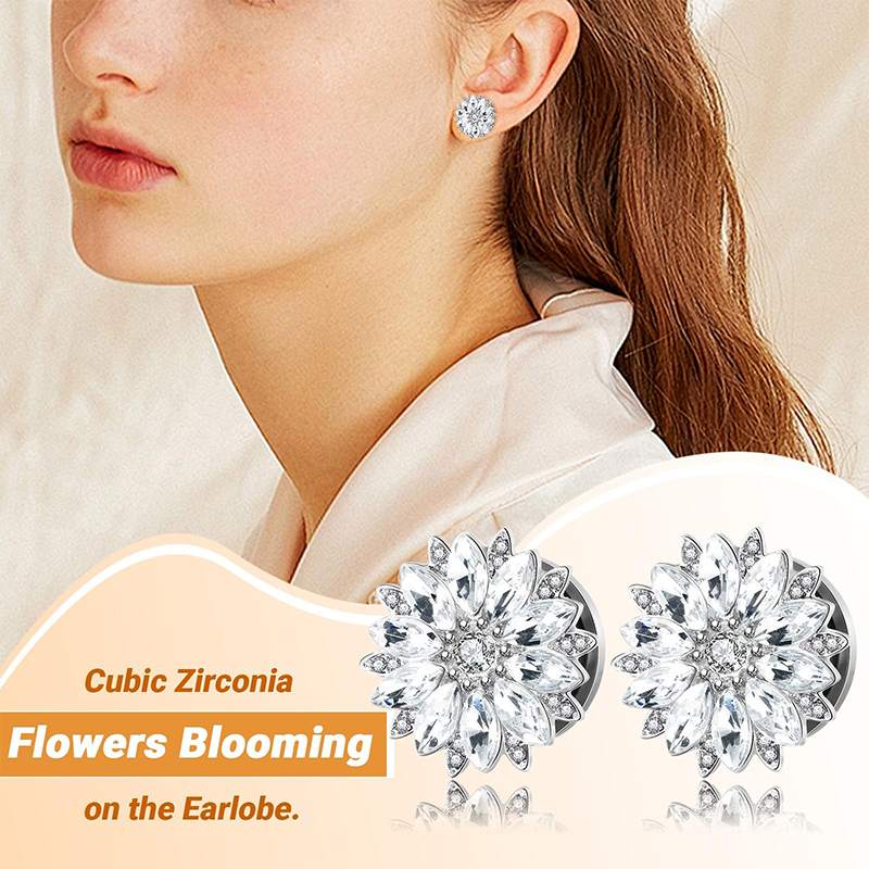 큐빅 지르코니아가 있는 귀마개 및 터널, 남녀공용 스테 - Body Jewelry Ear 리뷰 및 가격