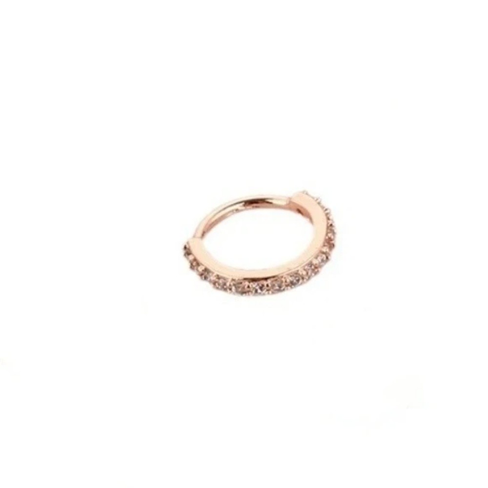 펑크 라운드 큐빅 지르코니아 코링 유럽 및 미국 코 피 - Body Jewelry Europe 리뷰 및 가격